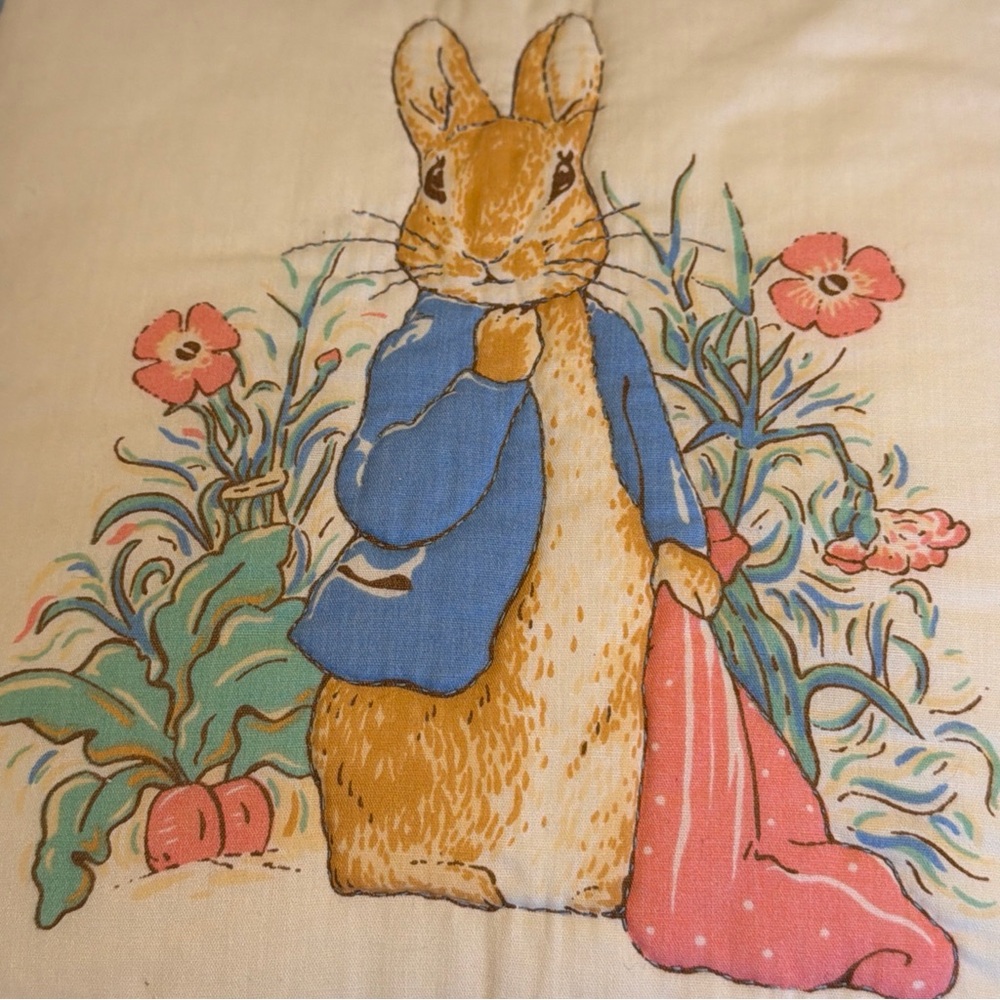 Peter Rabbit Decorative Pillow - Picture 2 of 9